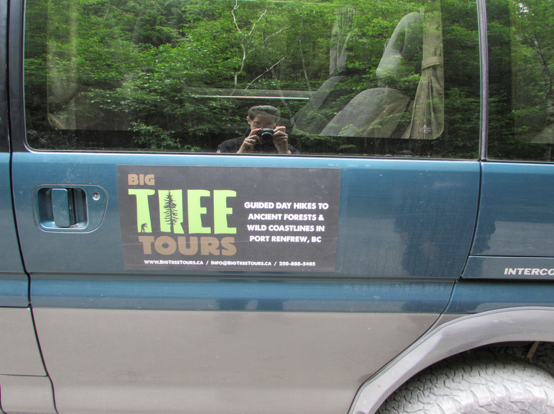 Big Tree Tours景点图片