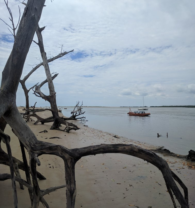 Praia de Macapá景点图片