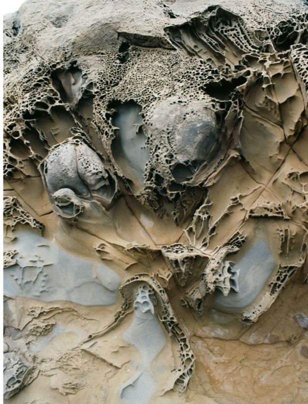 Bean Hollow State Beach-佩斯卡德罗必去景点