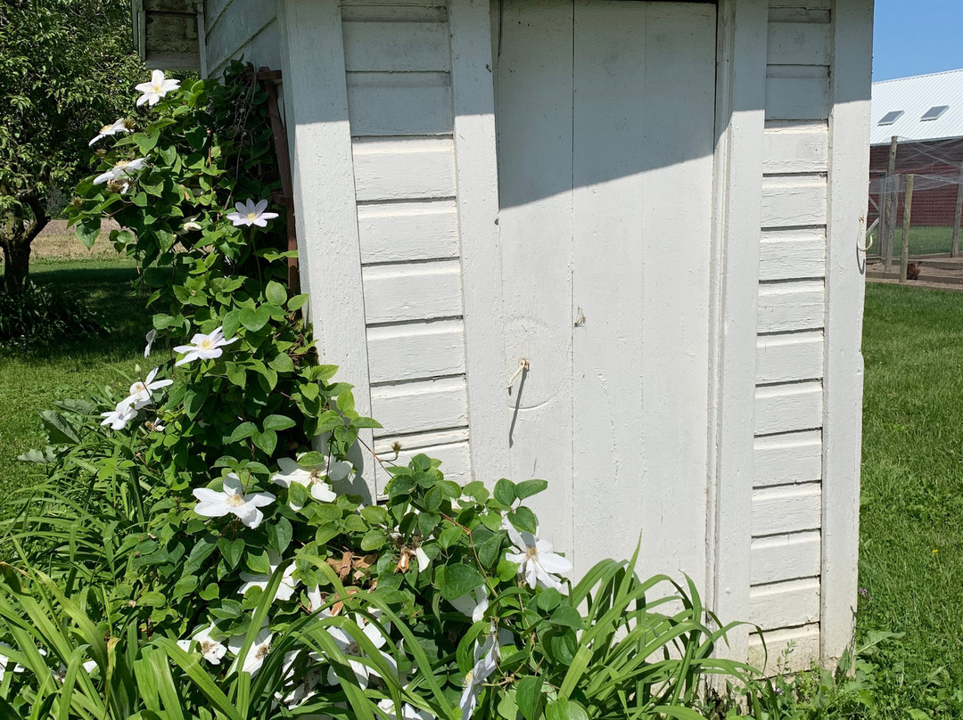 Carter Historic Farm-鲍灵格林必去景点