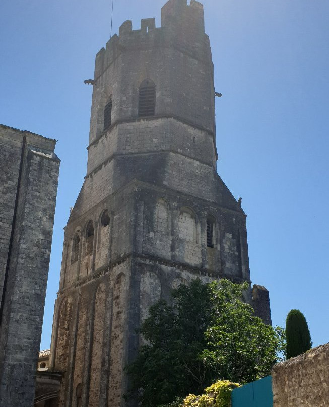 Viviers Cathedral景点图片