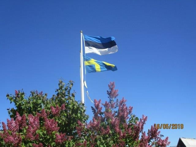 Museum of the Coastal Swedes-哈普萨鲁必去景点