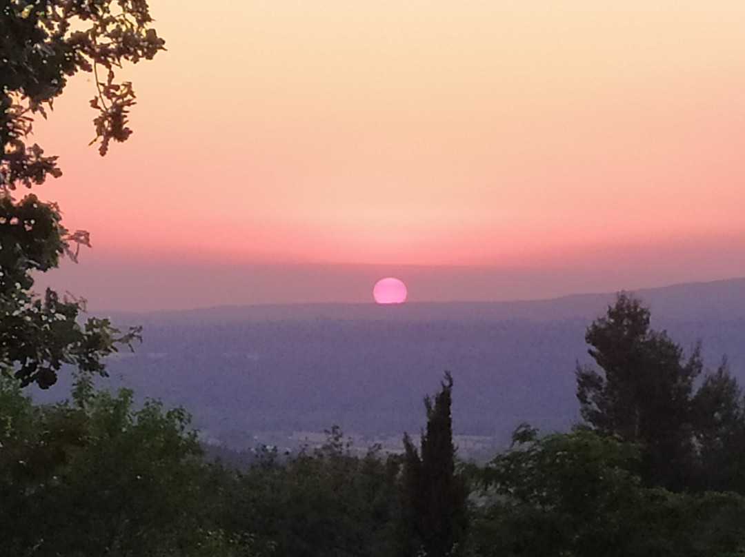 La Serra Del Pino