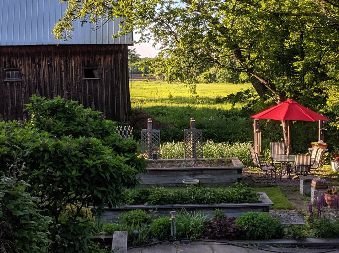 A Stone's Throw Bed And Breakfast主图