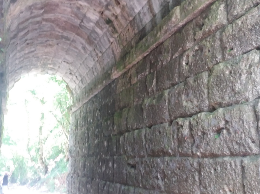 Ponte Fonnaia景点图片