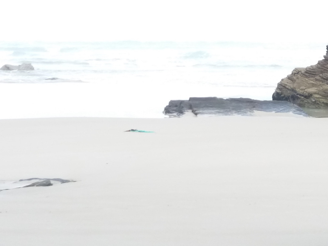 Playa de las Catedrales景点图片