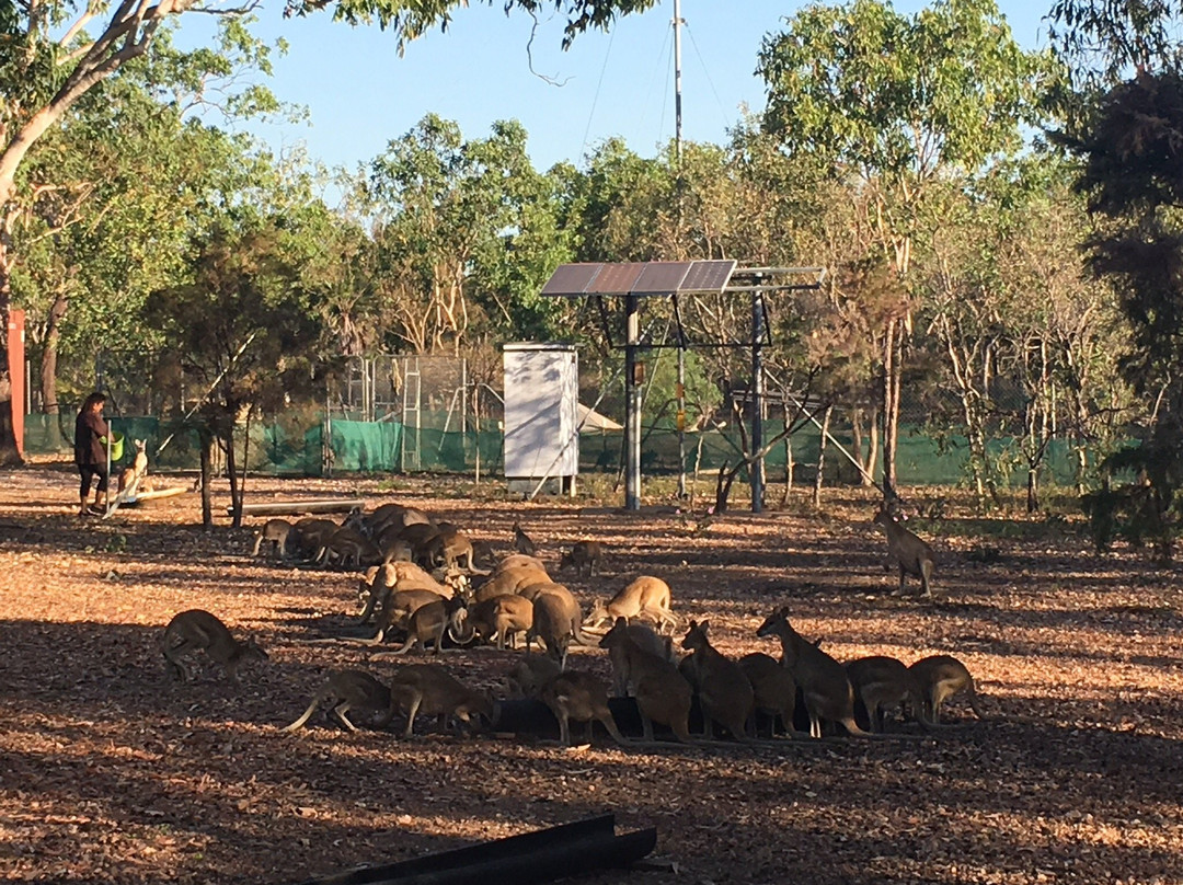 Nina's Ark Wildlife Sanctuary景点图片