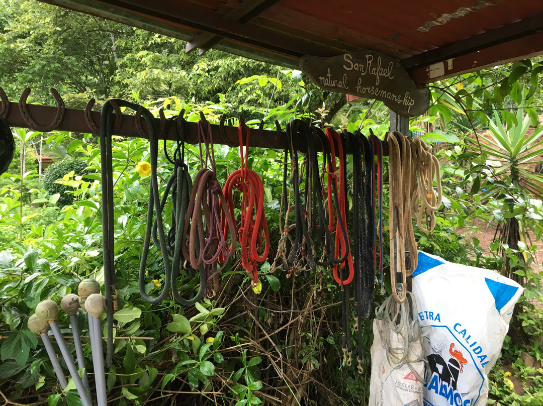 Establo San Rafael主图