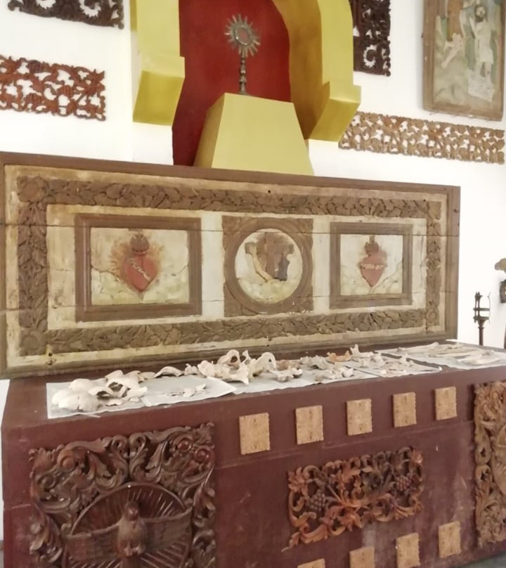 Samar Archaeological Museum景点图片