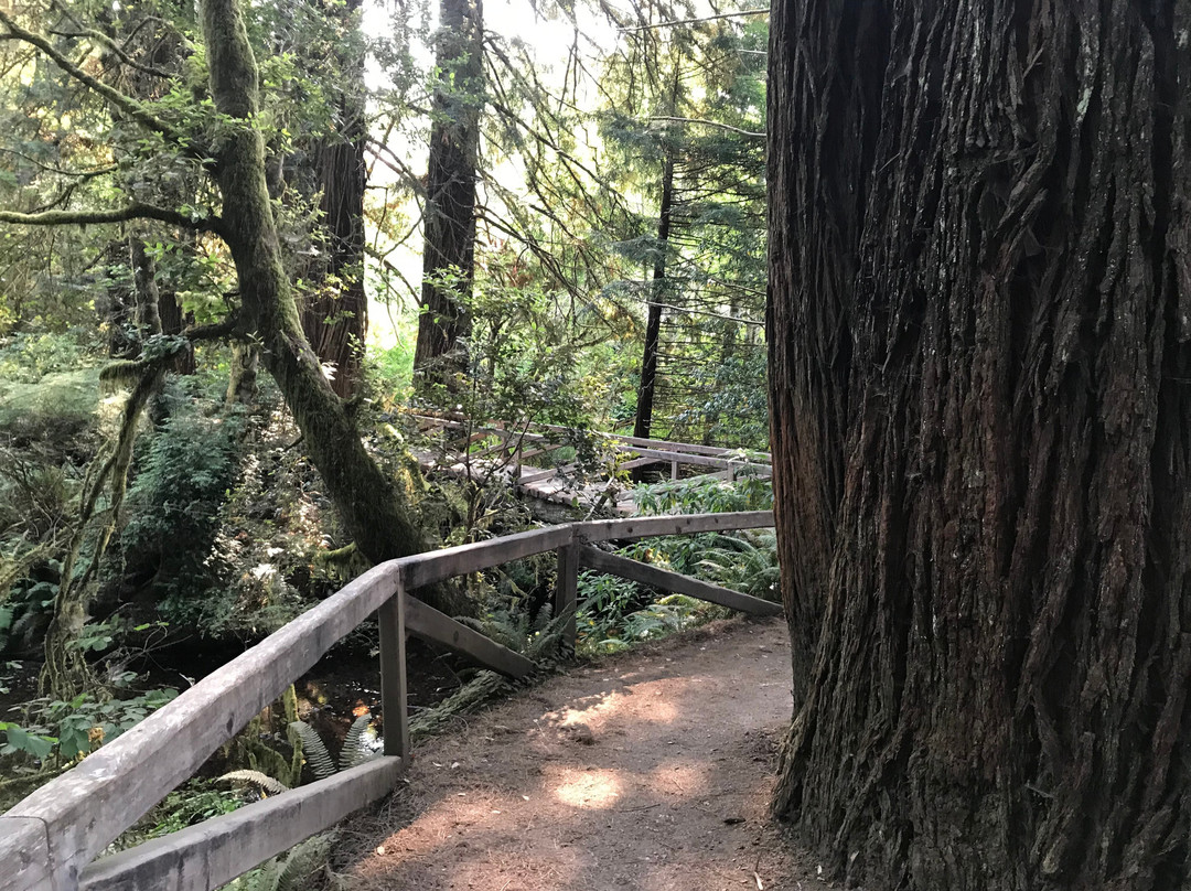 Prairie Creek - Foothill Trail Loop景点图片