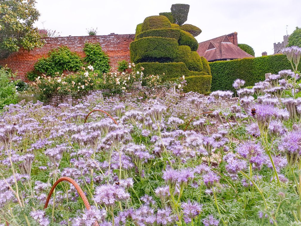 Chilham Castle景点图片