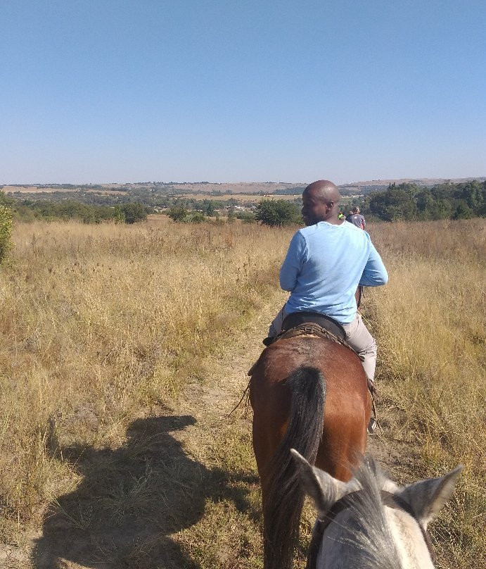Horse Riding Adventures-柯立南必去景点