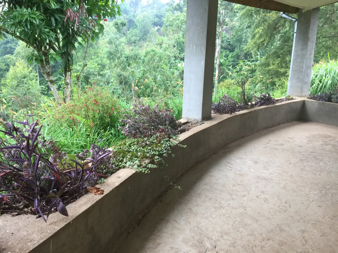 Kafa Development Association Guesthouse主图