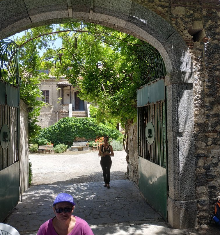 Azienda Agricola Blandini景点图片