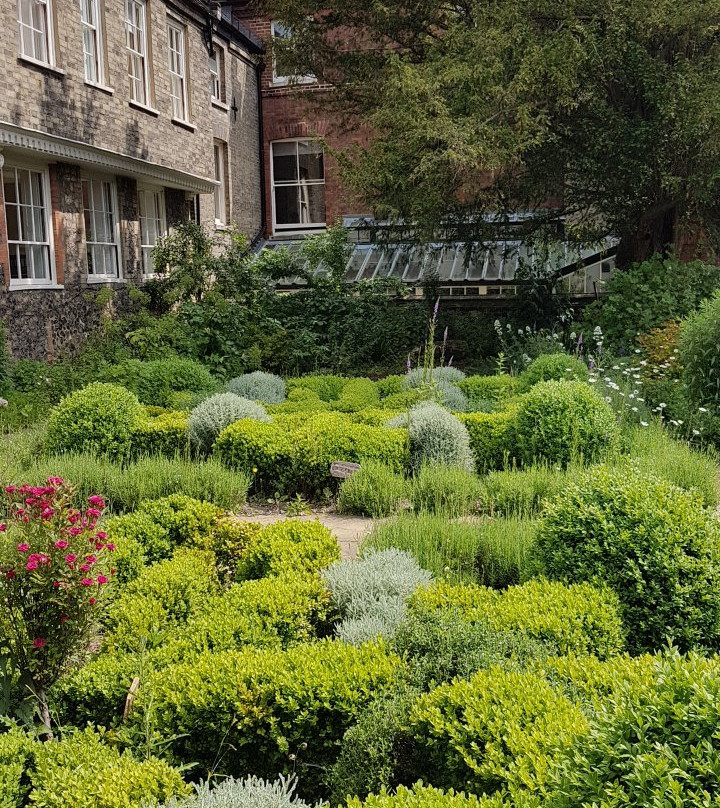 Norwich cathedral herb garden景点图片