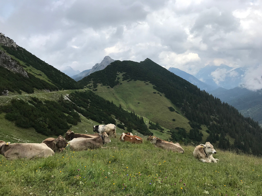 Höhen und Sonnenwanderweg景点图片
