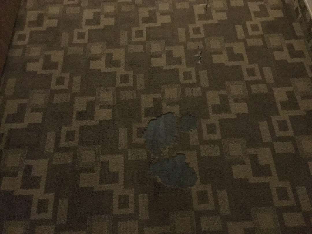 Super 8 by Wyndham Concordia主图