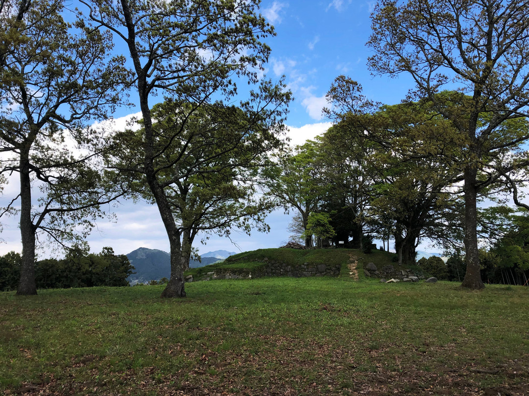 The Site of Uda Matsuyama Castle景点图片