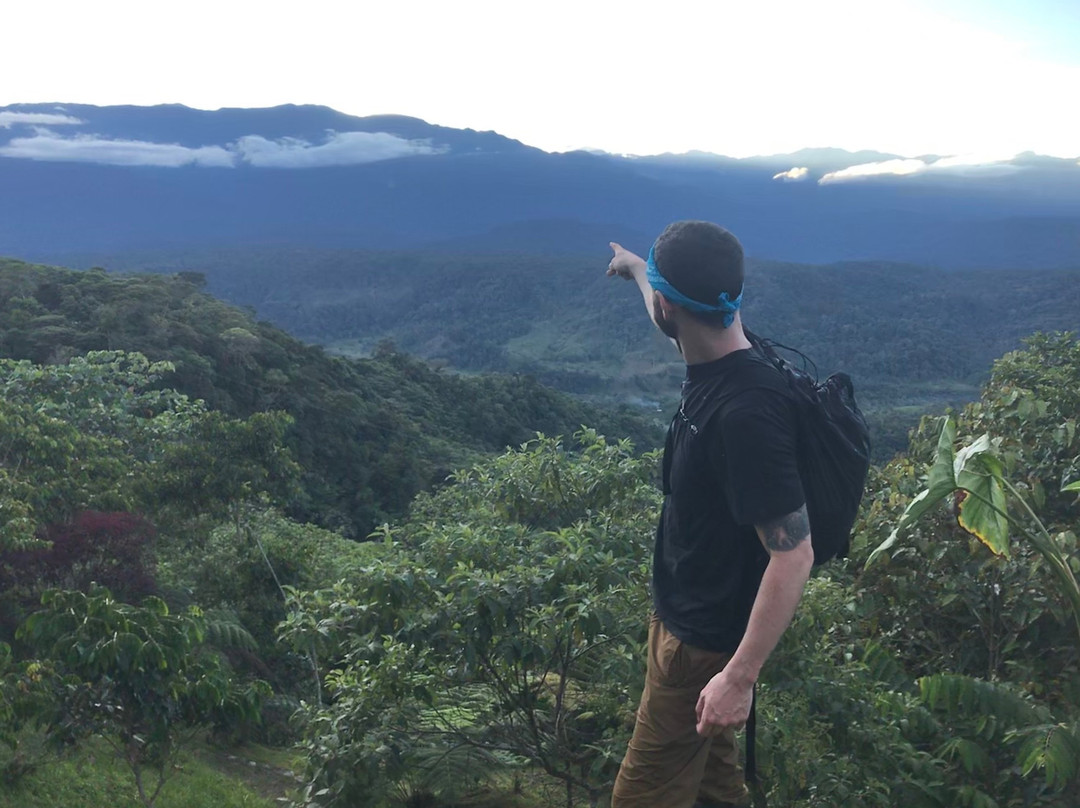 Bellandia Lodge主图