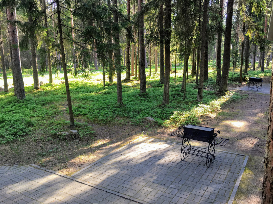 Park-hotel Bukhta Koprino主图