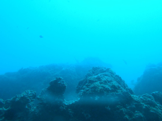 Diving Puglia D.C-莫诺波利必去景点