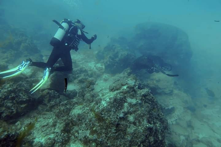 Scub'Addict-Bourail必去景点