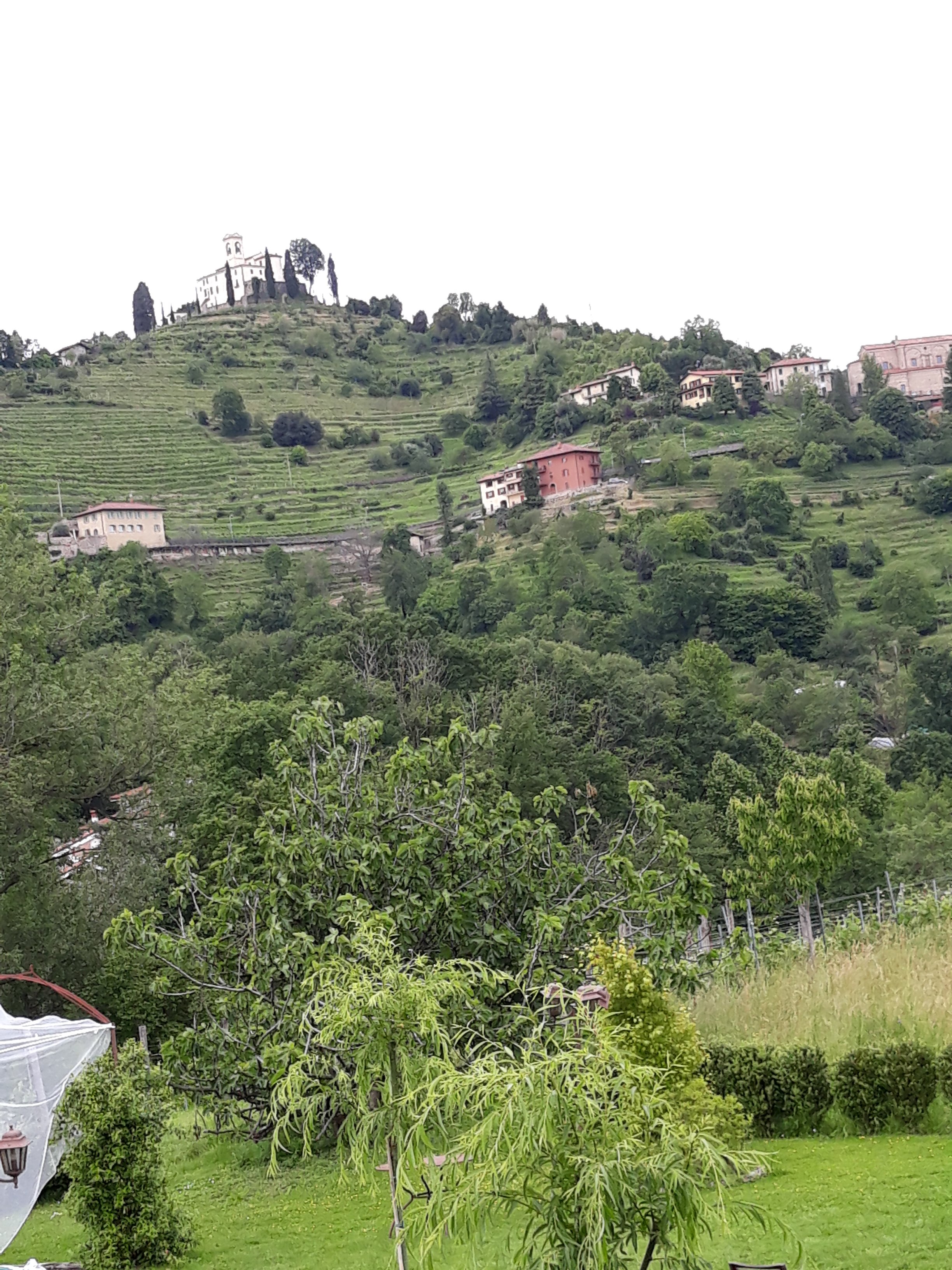 Il Colombee-官方
