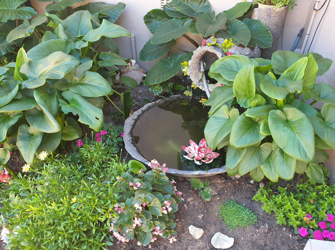 Dilisca Guesthouse主图