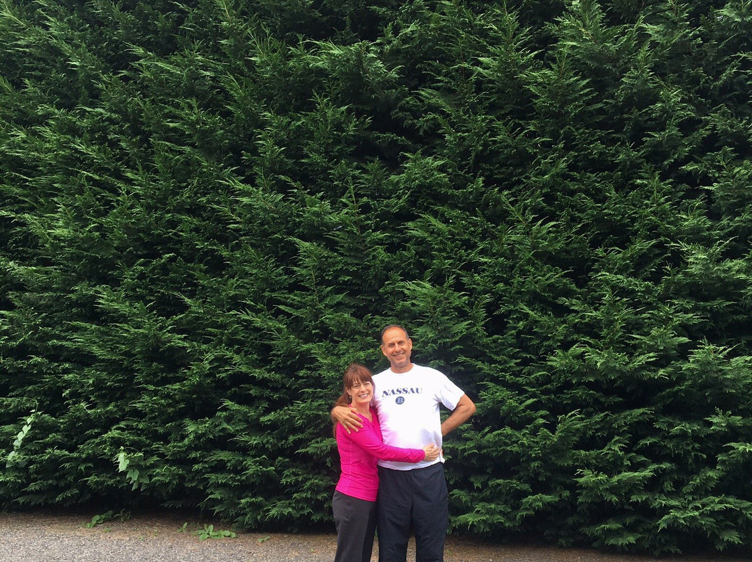 Lewis River Bed & Breakfast主图