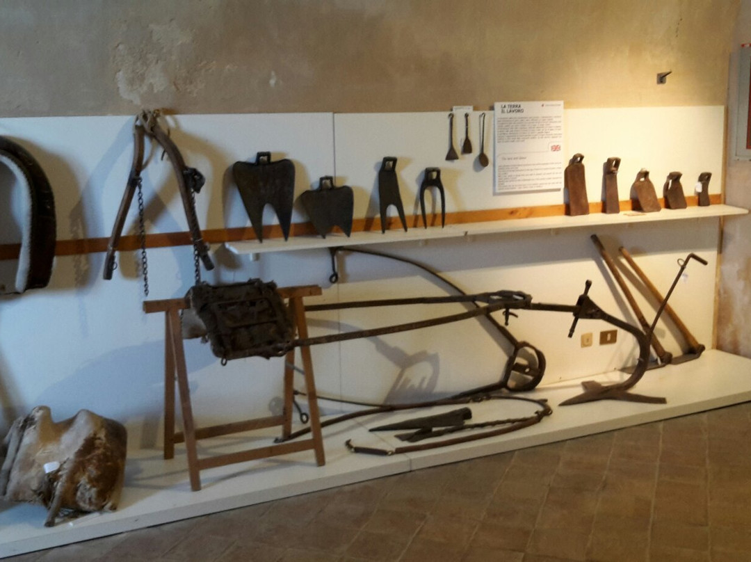 Museo Annalisa Buccellato Etno-Antropologico-戈尔福海堡必去景点