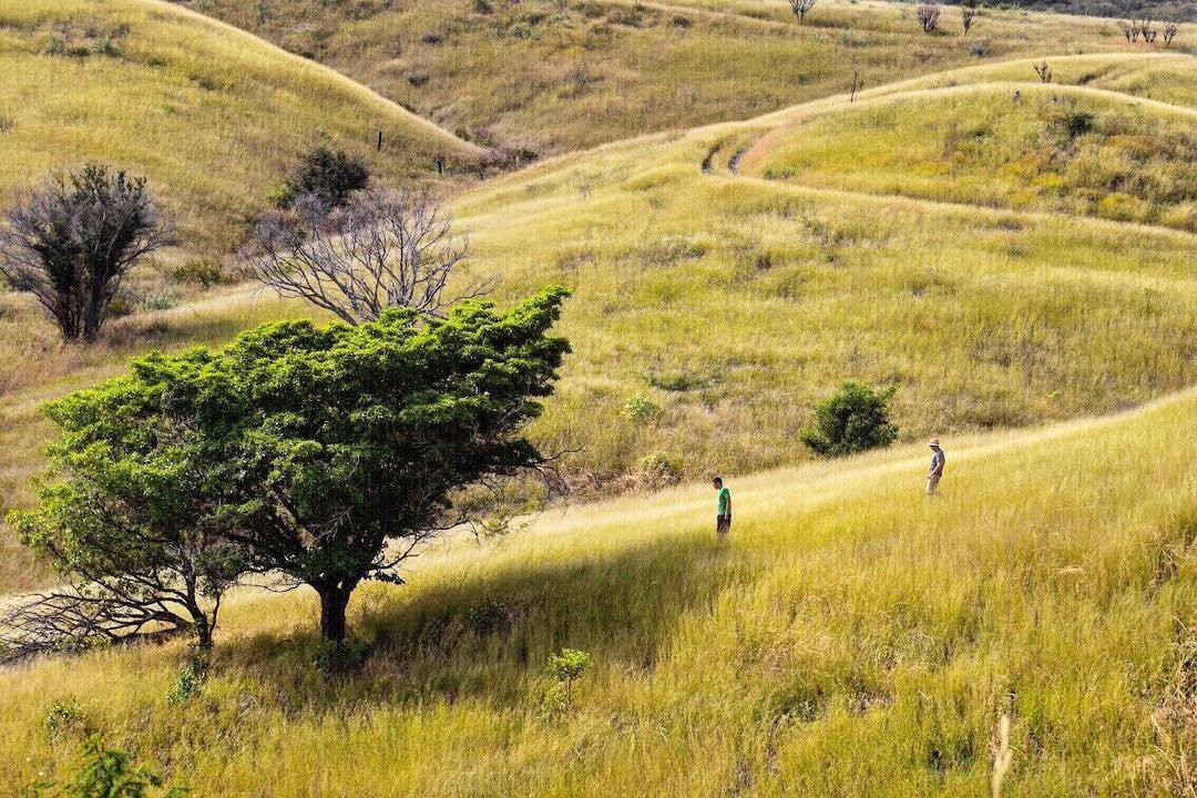 Cascada Los Azules-特基拉必去景点