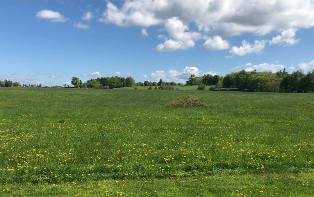 Benjamin Prescott Inn主图