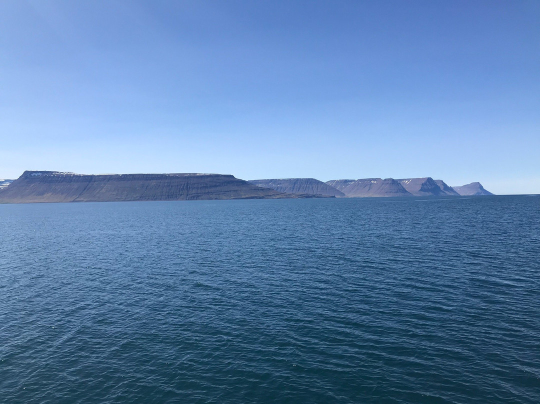 Amazing Westfjords-伊萨菲厄泽必去景点