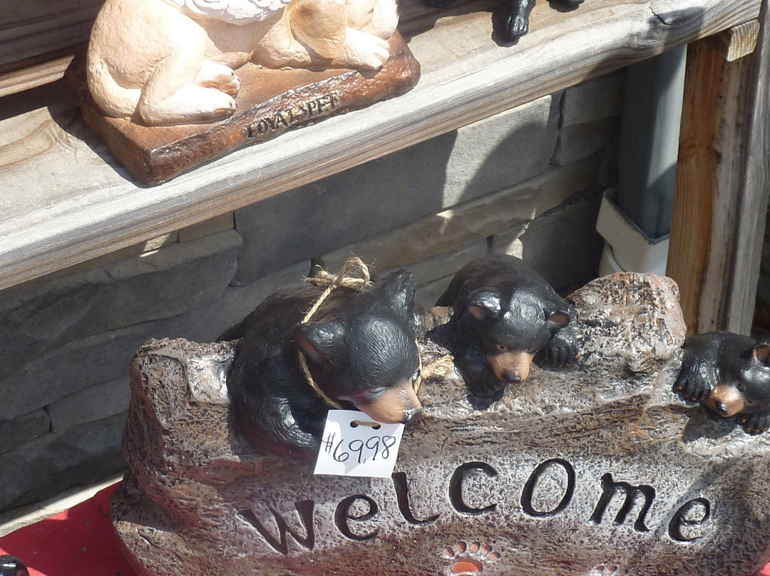 Ole Country Store-皮金福奇必去景点