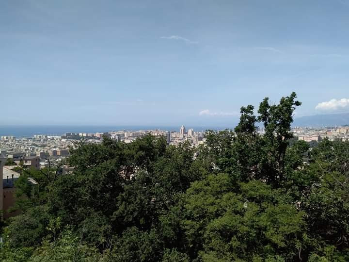 Santuario della Madonna del Monte景点图片