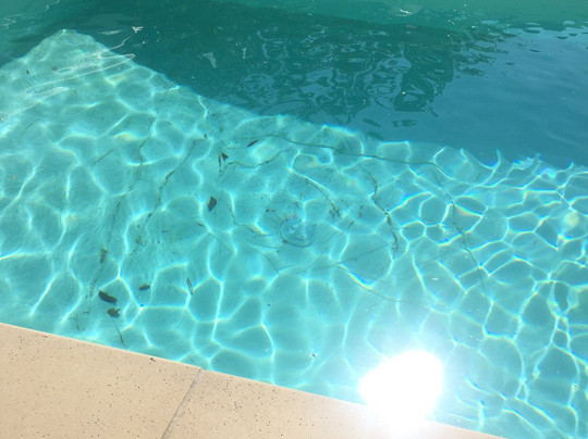 O' Reiller Gîtes , Chambres d'Hôtes Et Yourtes主图