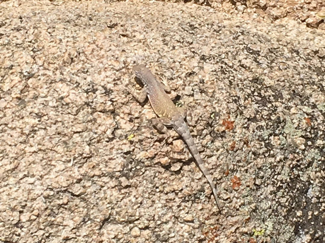 Sunrise Trailhead-斯科茨代尔必去景点