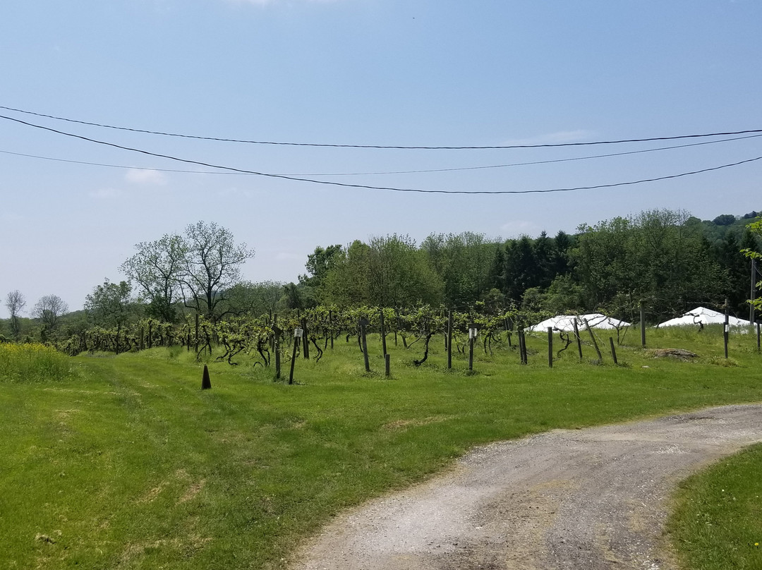 Four Sisters Winery at Matarazzo Farms景点图片