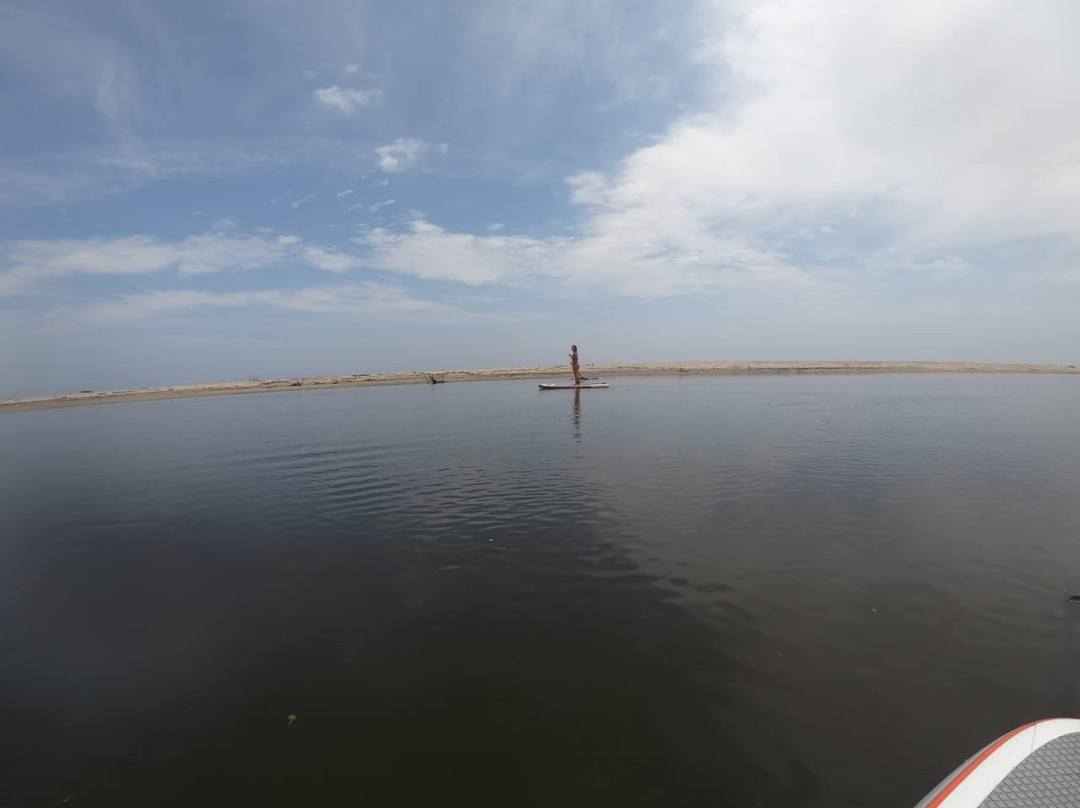 Bad Monkey-帕洛米诺必去景点