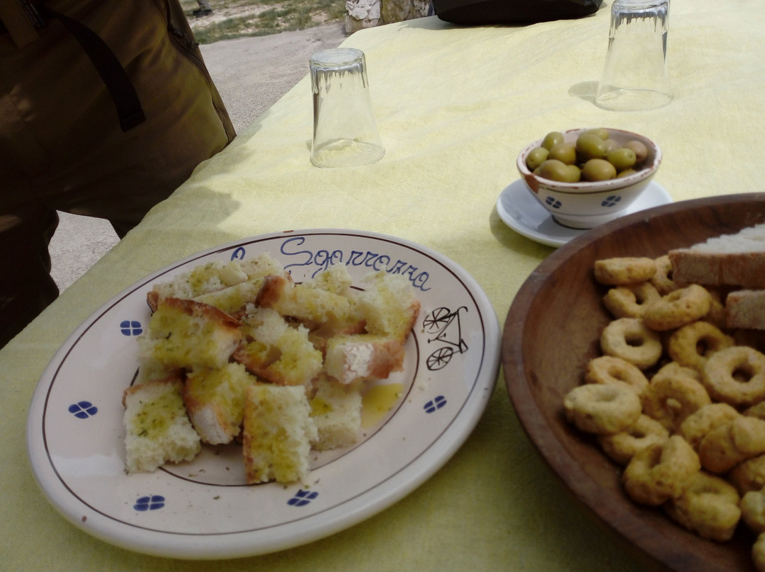 Gargano Bike Hub-维耶斯泰必去景点