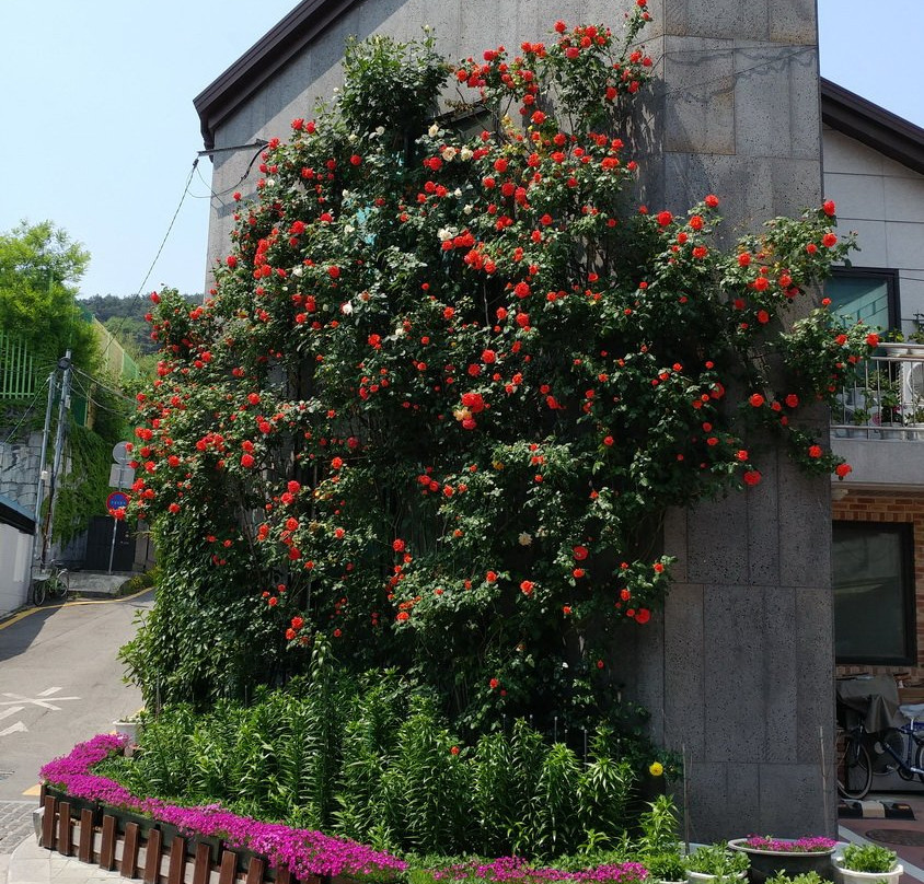 Haenggung Street-水原市必去景点