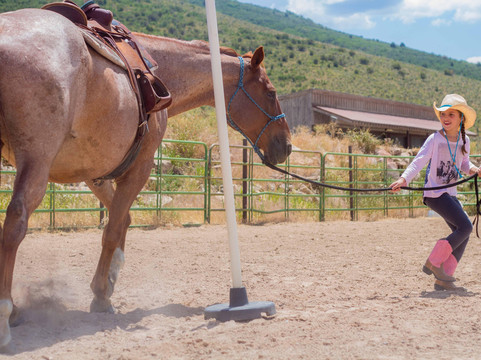 Park City Horse Experience-Kamas必去景点