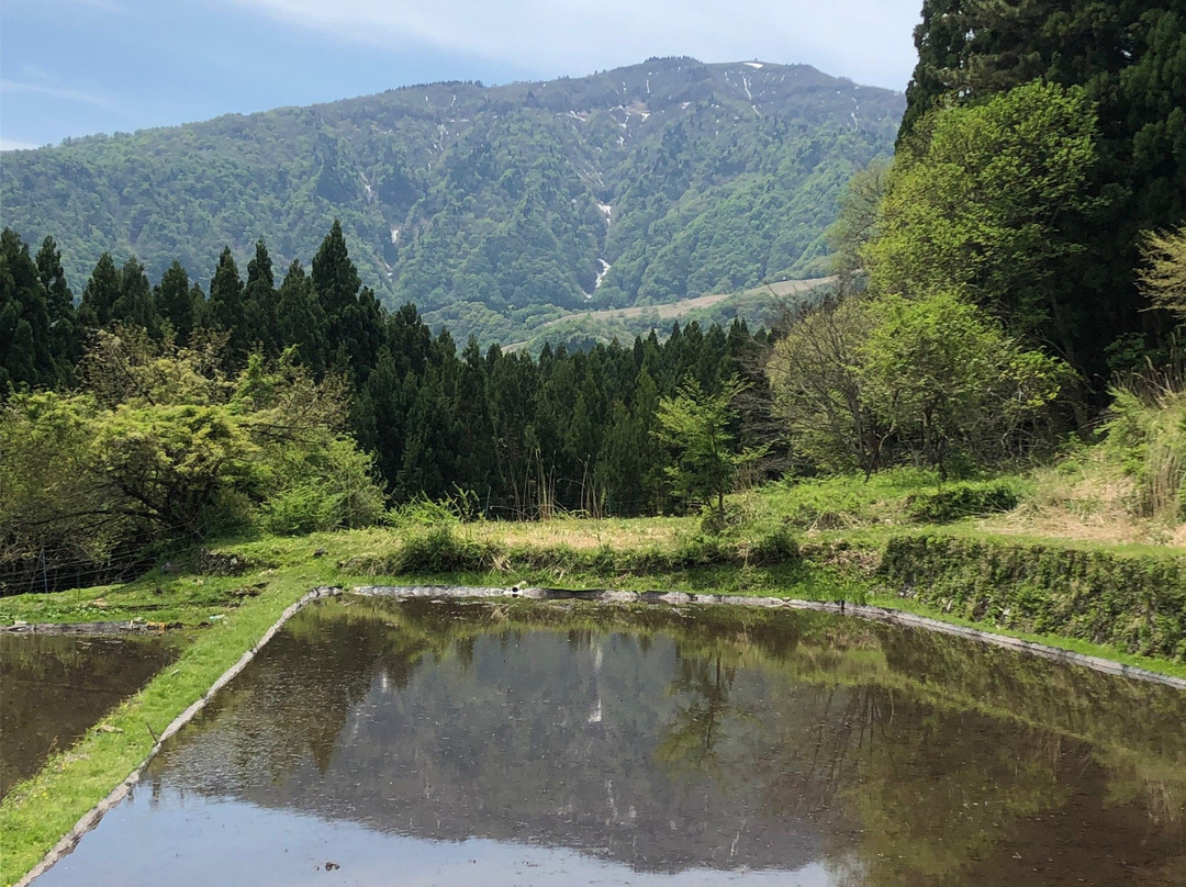 Mt. Hyono-养父市必去景点