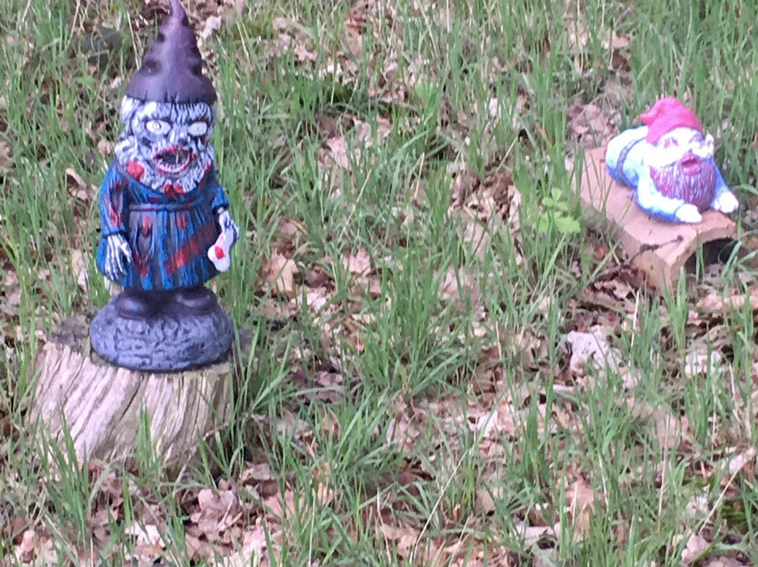 Gnome Magic Garden景点图片