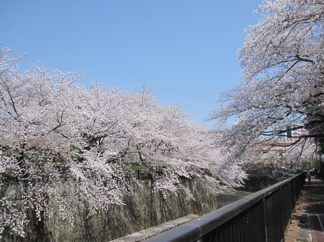 Shakuji River Green Road-板桥区必去景点