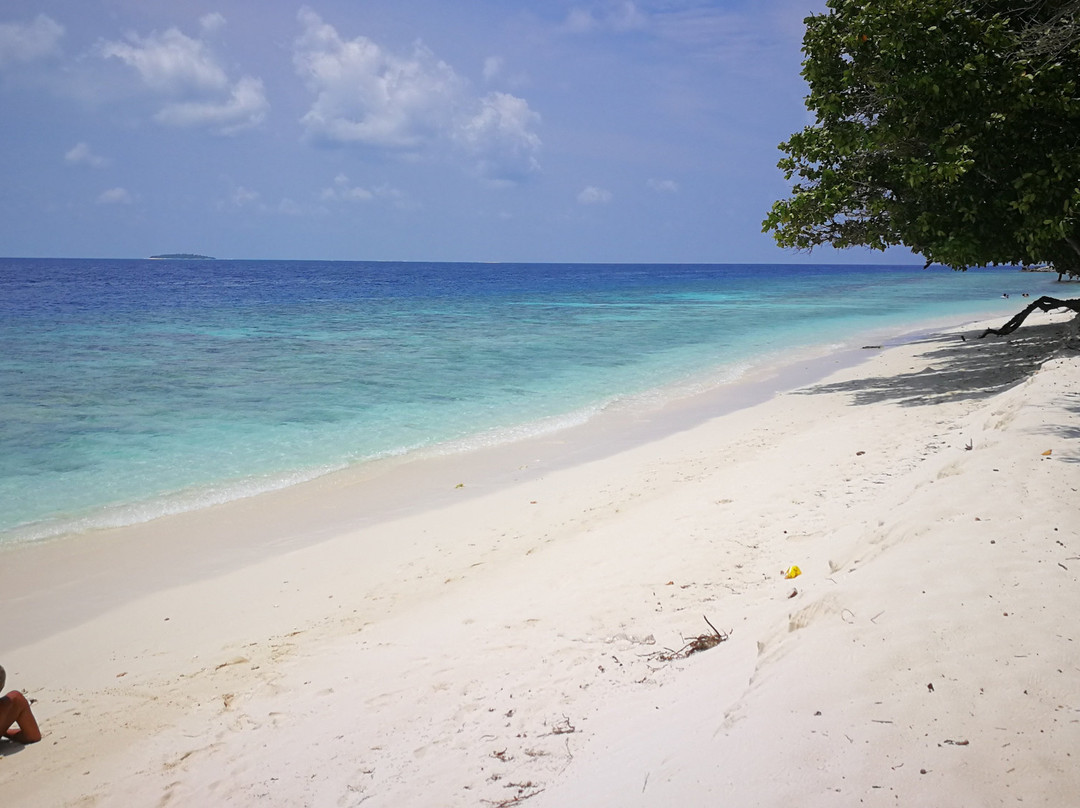 Lvis Blancura Hotel主图