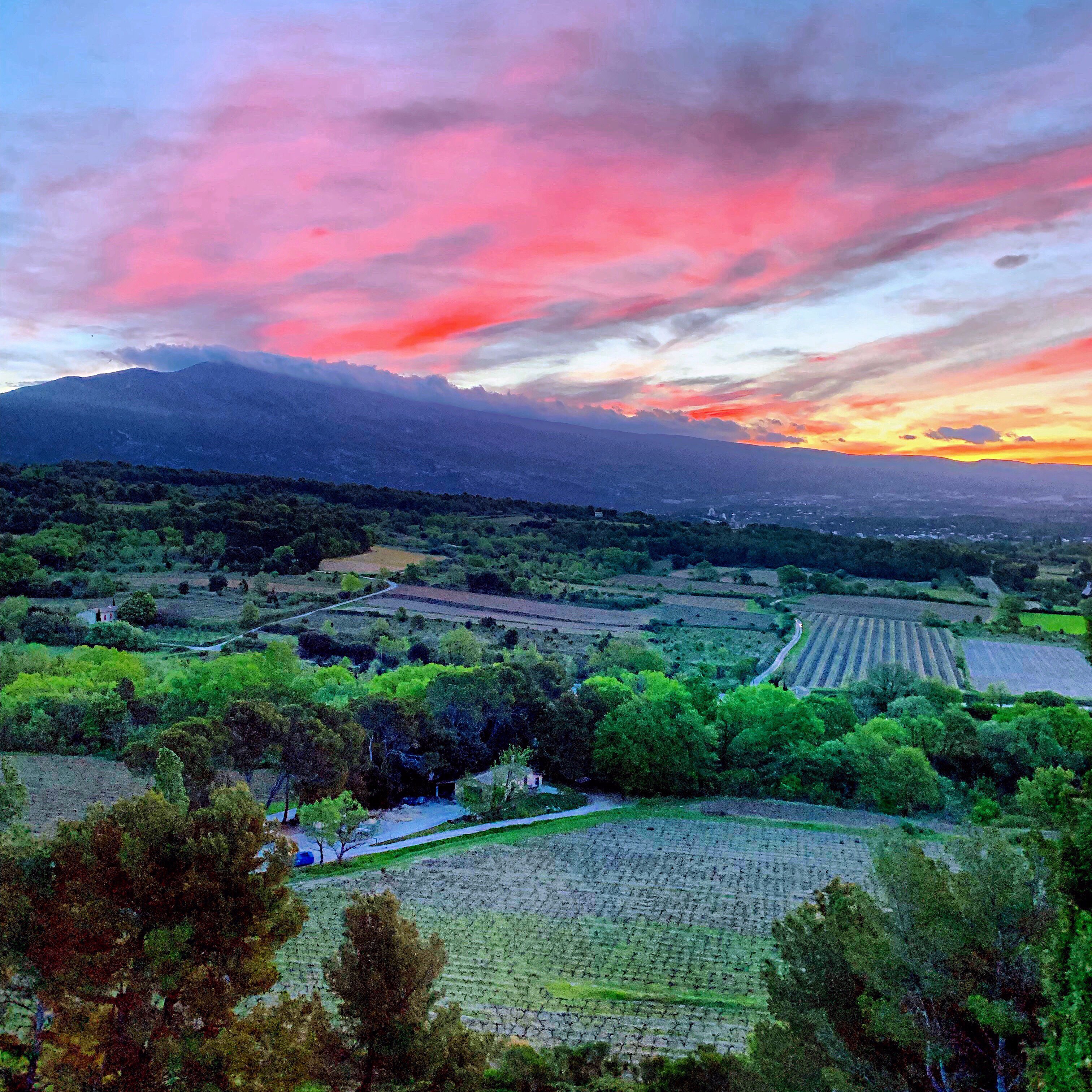 Amiradou-酒店景观