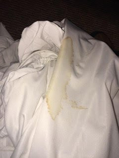 Mountain Springs Resort主图