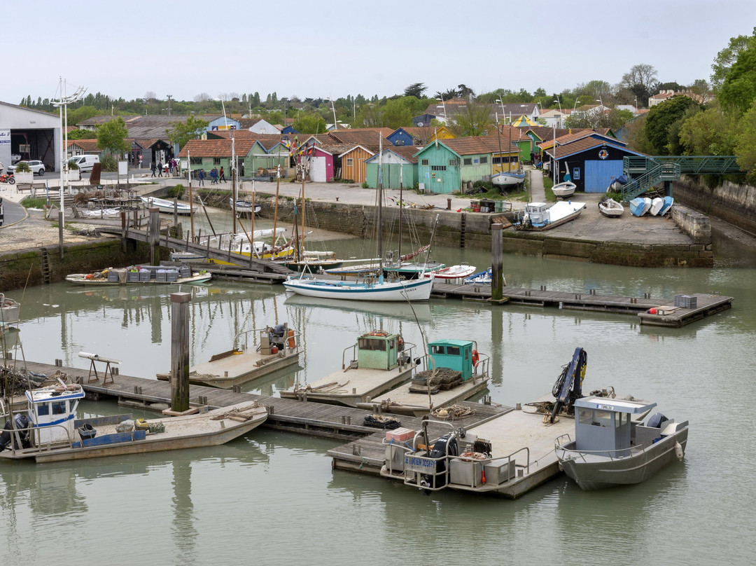 Le Port du Château d’Oléron景点图片