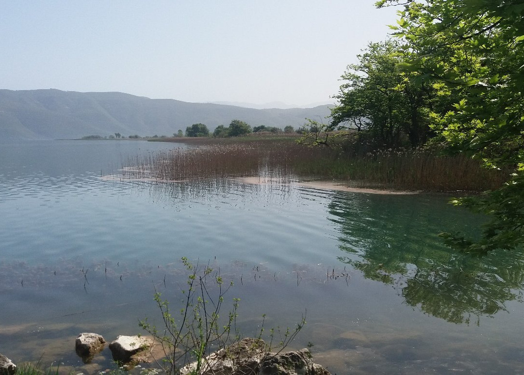 Lake Trichonida景点图片